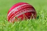 Cricket Major events - cricket ball