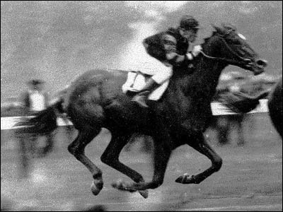 Man O War - a famous race horse - 1917-1947