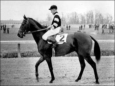 War Admiral- A famous Race Horse - 1934-1959