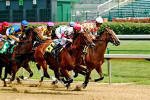 Horse Racing and it's sportsbooks