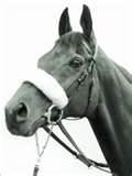 Red Rum - Three time winner of the Grand National