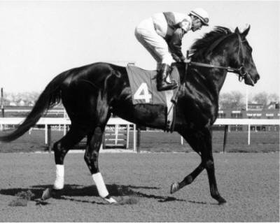 Ruffian a famous race horse - 1972-1975